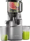 Self-Feeding Cold Press Juicer – 250W, High Yield for Whole Fruits & Veggies