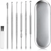 6Pcs Stainless Steel Ear Cleansing Tool Set Ear Cleaner Ear Care Set with Storage Case -Silver
