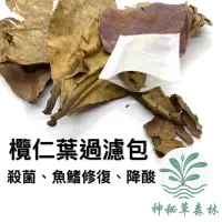 在飛比找蝦皮購物優惠-﹝神秘草森林﹞【天然抑菌】欖仁葉 欖仁葉茶包 水族專用 天然