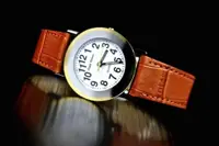 在飛比找蝦皮購物優惠-168錶帶配件 /台灣品牌glad stone防水石英錶特殊
