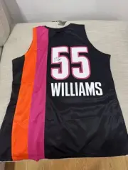 MITCHELL & NESS NBA MIAMI HEAT JASON WILLIAMS 2005-06 AUTHENTIC Autograph