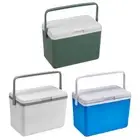 3L Insulated Portable Cooler with Handle Mini Freezer Fridge for Beach Picnic