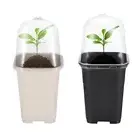 Nursery Plant Pot with Cover Enhances Plant Growth and Ensures Proper Drainage