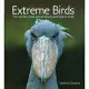 Extreme Birds: The World’s Most Extraordinary and Bizarre Birds