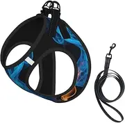 Blue Flame print Dog Harness and Leash Set, Reflective Adjustable Puppy Vest for Small Medium Large Dogs, Cats