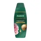 Palmolive Luminous Oils Moroccan Argan Oil & Camellia Protect Shampoo 350ml