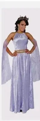 Underwraps Lady In Waiting Adult Womens Dress Small B0925