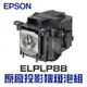 【EPSON】 ELPLP88 原廠投影機燈泡組 | EB-W29/965H/S04/S31/X04/X31/W32/U32【請來電詢價】