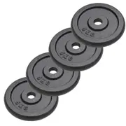 4 Pcs Weight Plate Set Barbell Dumbbell Bar Plates Accessory Cast Iron 20kg