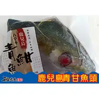 在飛比找蝦皮購物優惠-【鹿兒島青甘魚頭】{船老大海物}台南 西濱 將軍漁港 海釣 