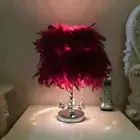 Home Crystal Pendants Feather Shade Lamp Night Light Table Bedside Room Decor