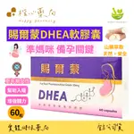 【楷心藥局】5送1 格萊思美 賜爾蒙軟膠囊 DHEA 天然山藥萃取 備孕、更年期、賀爾蒙流失(賜汝蒙、惠爾蒙、特補樂)