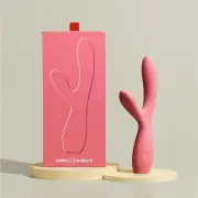 Smile Makers The Artist Vibrator 1pc