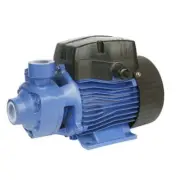 Bianco 802788 Cast Iron Peripheral Turbine Pump 240V 0.37KW 0.5HP 240V 37Lpm