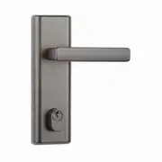 N2lok Infinity Vitus Door Lever Handle Multifunction Entry Set