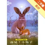 再見!小兔子【絕版】[二手書_良好]11315321725 TAAZE讀冊生活網路書店