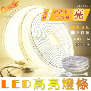 台灣現貨 速發 led燈條 110V插電燈條 高亮2835燈珠 燈帶 軟燈條 家裝燈飾 戶外防水燈條 露營燈條