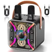Karaoke Machine for Adults with Two Wireless Microphones, PA System Bluetooth...