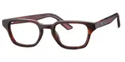 Mini 743022 50 Men's Glasses Tortoiseshell Size 49 - Private Health Rebate - Blue Light Block Available