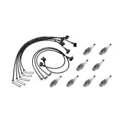 8 x NGK Spark Plugs + Bosch Ignition Leads for Ford TE50 Tl50 TS50 AU1 AU2 AU3