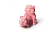BigMouth: Naughty Pigs Salt & Pepper Shaker Set
