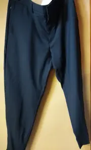 Banana Republic Standard Fit Navy Blue Flat Front Pants Size 33 REGULAR NWT