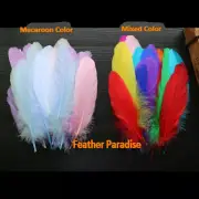 Goose Pallet Feathers Macaroon Packed Loose Goose Feathers mixed Colors 50pcs