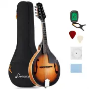 Donner DML-1 A Style Mandolin Instrument Sunburst Mahogany With Tuner String Big Bag and Guitar Picks