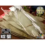 【野味食品】青粽葉(麻竹葉,粽葉,50元/束,桃園實體店面出貨)端午節粽子DIY,自己動手包#粽葉