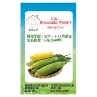 在飛比找momo購物網優惠-【蔬菜工坊】G38-1.黃金868超甜玉米種子