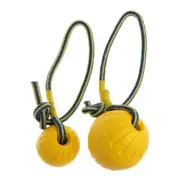 Pet Fetching Balls Toy with Rope Pet Puppy Interactive for Pets Dogs for Pl