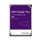 WD 威騰 【紫標PRO】3.5吋 10TB 256M 7200R 5年保 監控硬碟(WD101PURP)-