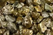 1/2 lb Panther Jasper Rough Stones - Natural Crystal Mineral Rock Tumbling