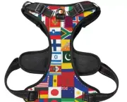 No Pull Dog Harness Front Clip Heavy Duty World Flag Colorful Design Size Medium