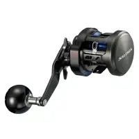 在飛比找蝦皮購物優惠-【百有釣具】 DAIWA SALTIGA BJ 強力鼓式 捲