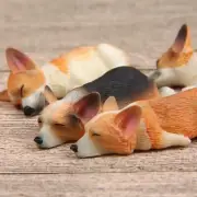 Lifelike Sleeping Welsh Corgi Dollhouse Miniature Dog / 1:12 ** 9 poses **