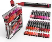 Acrylic Paint Pens 22 Assorted Pro Colour Series Markers Set Medium Tip for Rock Painting, Glass, Mugs, Wood, Metal, Canvas, Outlining, Detailing. Non Toxic, Waterbased, Quick Drying (REDS)