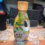 P&G ARIEL BOLD 柑橘馬鞭草 抗菌洗衣精