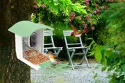 Solar Powered Bird Feeder with Camera Smart Bird House