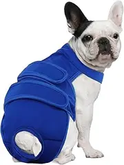 Leletail Dog Diapers Female Reusable Washable Period Diaper with Suspender,Adjustable Dog Panties Anti-Harassment, Doggie Diapers for Incontinence, Heat Cycles, or Senior Dogs（XS-XL