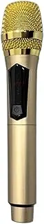 Home Wireless Microphone with Receiver, 1 for 1 80Hz to 15Khz Handheld Mic with LED Screen for Outdoor Home Conference Karaoke, Battery Not Included (Gold)