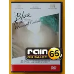 ⊕RAIN65⊕正版DVD【藍色是最溫暖的顏色】-女同志影展片