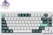 Keychron Q1 HE QMK Wireless Custom Mechanical Keyboard with Knob, 2.4 GHz/Bluetooth/Wired 75% Layout Hot-Swappable Programmable RGB Backlit Gateron Magnetic Switches for Mac Windows, Shell White