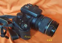 在飛比找Yahoo!奇摩拍賣優惠-富士FinePix S9500 類單眼相機