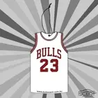 Bulls Michael Jordan 23 Car Air Freshener - Vanilla & Coconut Scent