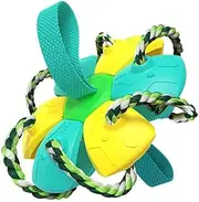 Dog Toy Ball Flying Disc Design Interactive Throwing Plaything Pet Training Toy for Fun