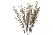 Hill Interiors Branch In Bloom Filler (Green) (One Size)