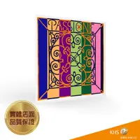 在飛比找蝦皮購物優惠-【功學社】PIRASTRO PASSION 4/4 小提琴套