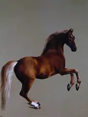 Horse G. ARA Accent Tile Mural Kitchen Bathroom Wall Backsplash Marble Ceramic