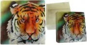 Capiz Shell Trinket Box, 3", Tiger